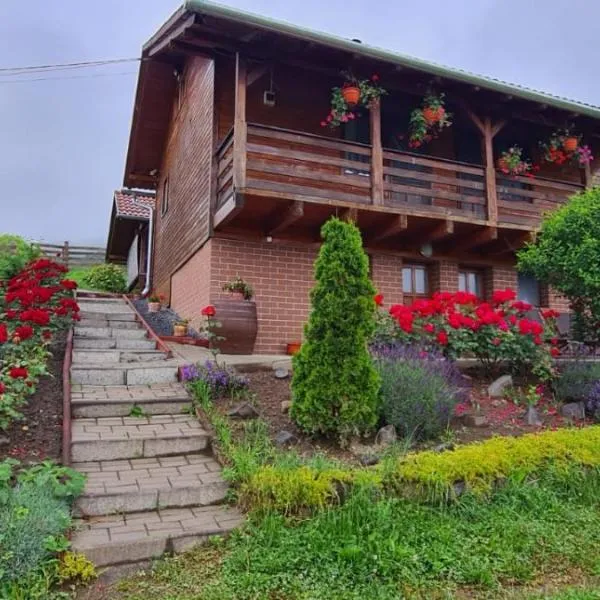 Casa Szabó Ház, ξενοδοχείο σε Sovata