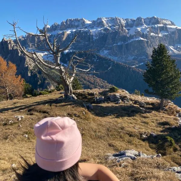 Arya Alpine Lodge, hótel í Selva di Val Gardena
