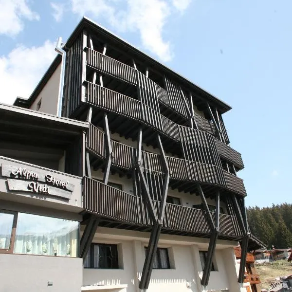 Alpen Hotel Vidi, hotel in Madonna di Campiglio