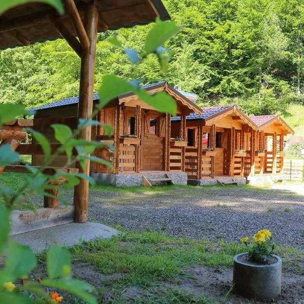 Căbănuțe Izbândiș, Hotel in Şuncuiuş