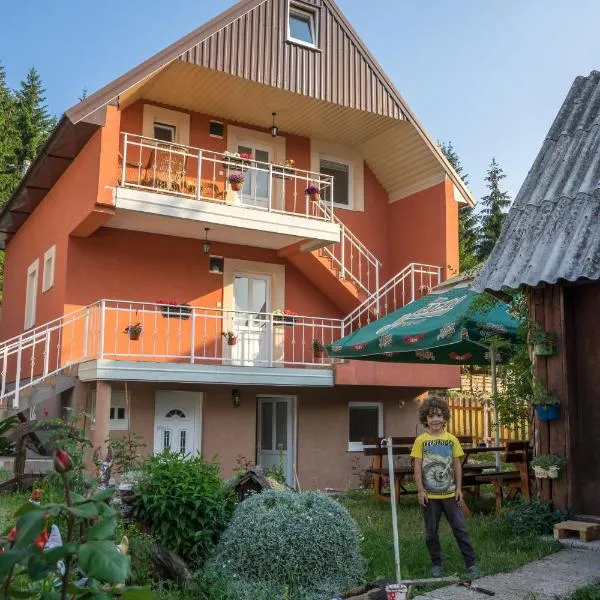 Apartments Dedeic, ξενοδοχείο σε Žabljak