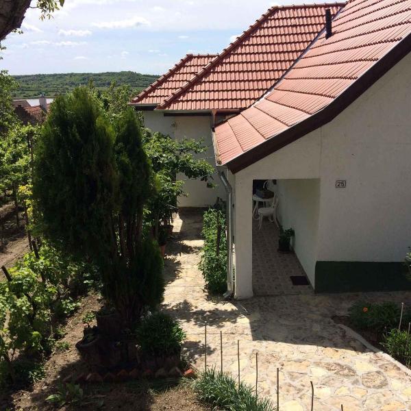 Holiday home in Tihany/Balaton 20236