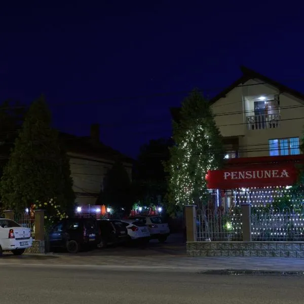 Pensiunea Caro, hotel in Deva