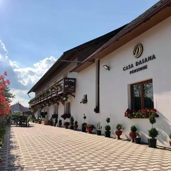 Casa Daiana, Hotel in Ocna Şugatag
