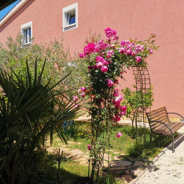 Apartments Babić