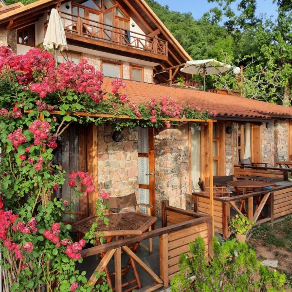Robinson Sunset Guest House