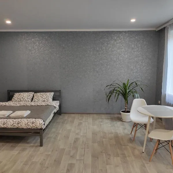 Две уютные квартиры в центре города Дзержинка - New apartments, hotel a Krivoy Rog