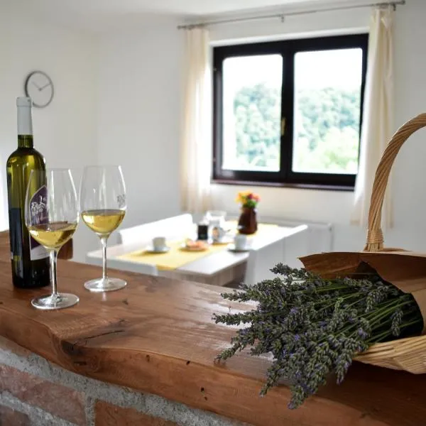 House Narta - Rastoke, hotel in Slunj