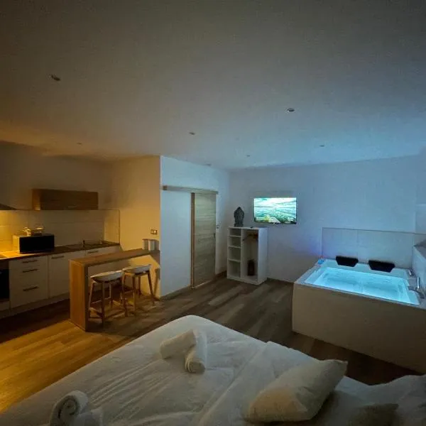 Studio Balnéothérapie, hotel v destinaci Wintzenheim