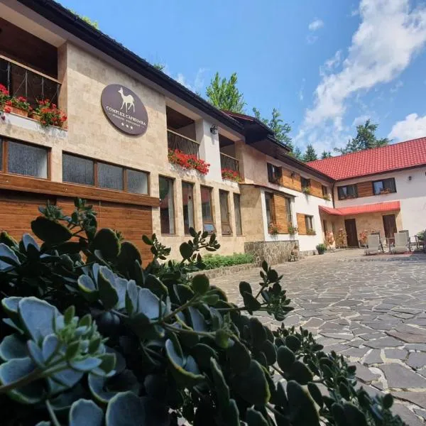Complex Turistic Caprioara, ξενοδοχείο σε Baia Mare