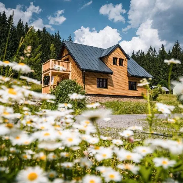 Apartmány Mezivodí, hotel em Kyčera