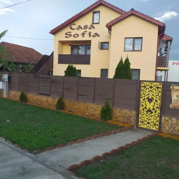 Casa Sofia, hotel di Târgu Jiu