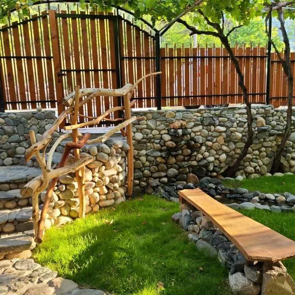 Вила 111, hotel in Sapareva Banya