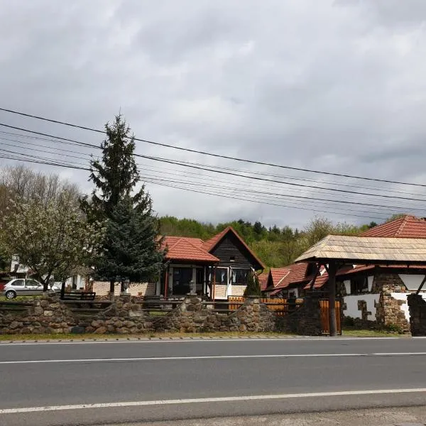 Pensiunea San Pio Sabisa,Săbişa的飯店