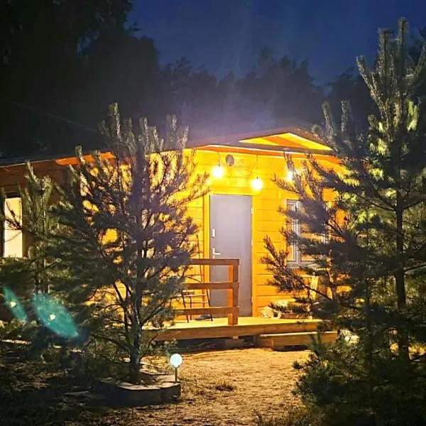 DOMKI We MGLE - Borsk, hotel v destinaci Borsk