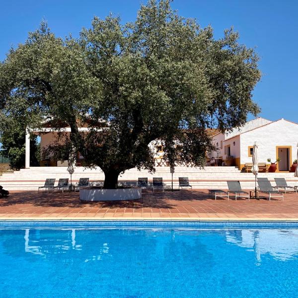 Quinta dos Amarelos