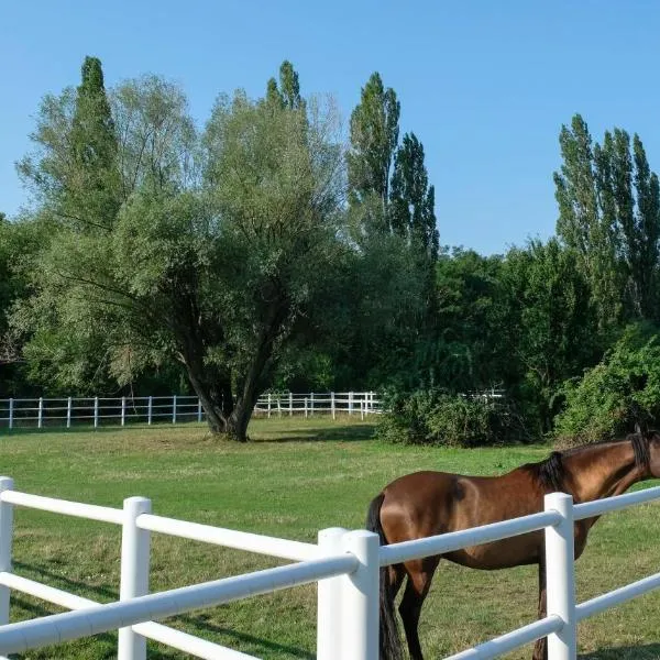 Equiliber Reitkunstzentrum Burgenland, hotell sihtkohas Wulkaprodersdorf