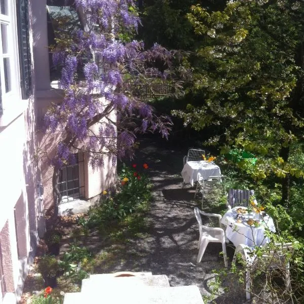 Garden Studio Apartment Zürichberg, hotel v Curychu
