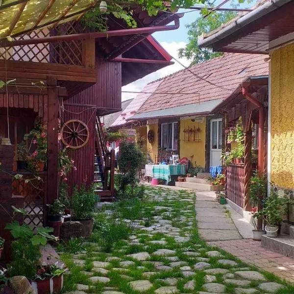 Casa boierului Imbri, hotel in Cîrţişoara