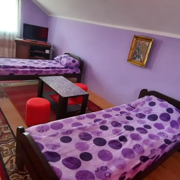 Sobe Seka, hotel in Golubac