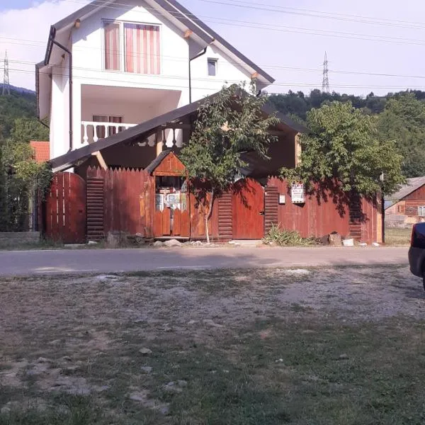 Casa Denisa Vidraru transfgarasan, Hotel in Căpăţîneni-Ungureni
