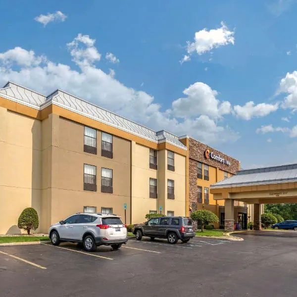 Comfort Inn Wings Stadium, hotel in Kalamazoo