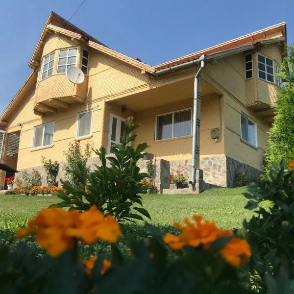 Casa Asined, hotell i Întorsura Buzăului