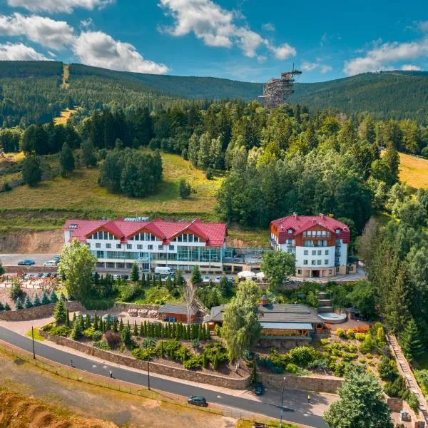 Hotel & Medi-Spa Biały Kamień, hotel v destinaci Świeradów-Zdrój