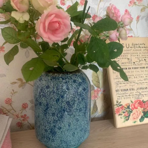 Happy rooms, готель у місті Вентспілс