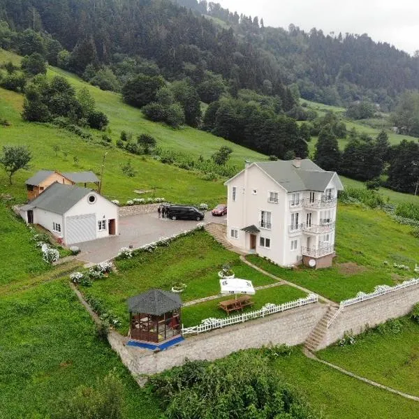 Vİlla DEVOR, Hotel in Trabzon