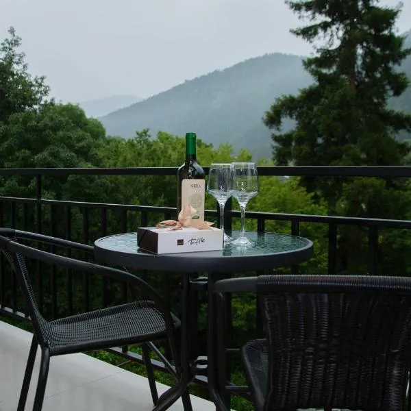 Likani Home, hotel v destinaci Bordžomi