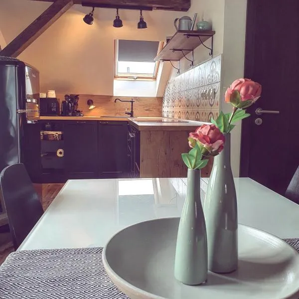 Apartmány Silvestr, Hotel in Dolní Rychnov