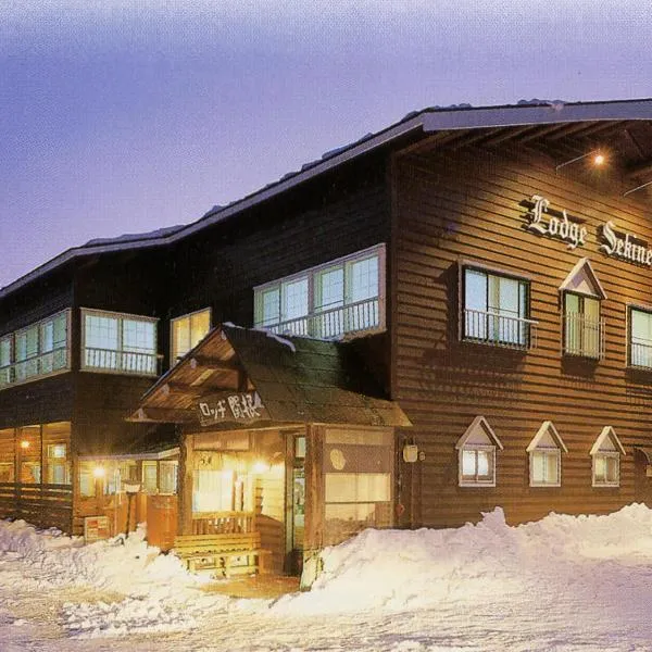 Park Lodge Sekine, hotel in Myoko