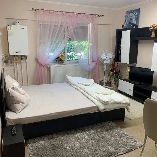 Studio Gaby, hotel in Satu Mare