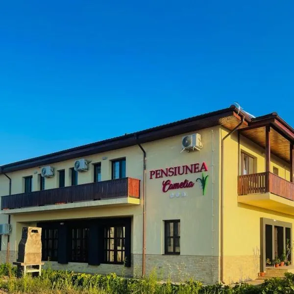PENSIUNEA CAMELIA, hotel en Baia