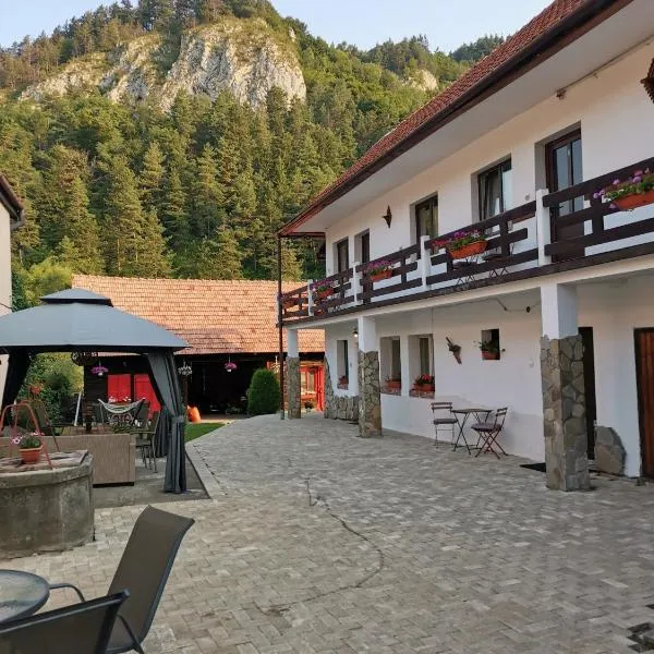 Guest House Piatra Craiului, hotel in Bran