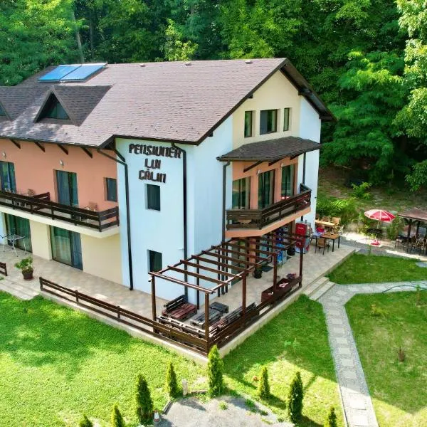 PENSIUNEA LUI CALIN, hotel v destinaci Ocnele Mari