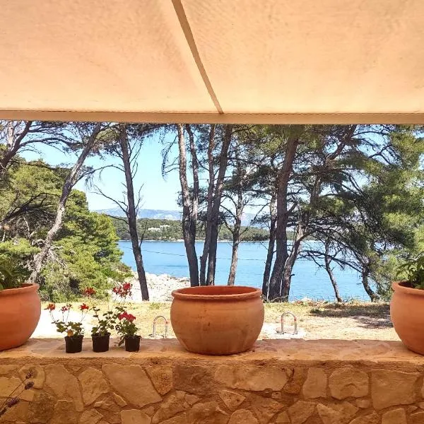 Stone Villa Hvar Ana Nikola Beach Park and Sea View, Hotel in Jelsa