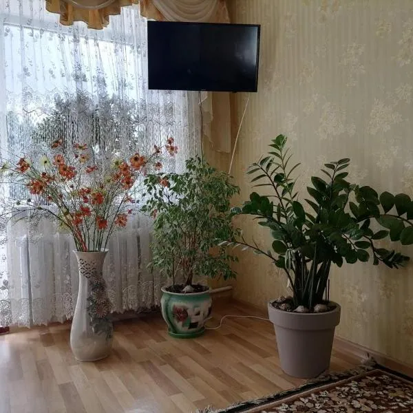 Апартаменти в центрі міста, hotel in Kamianets-Podilskyi