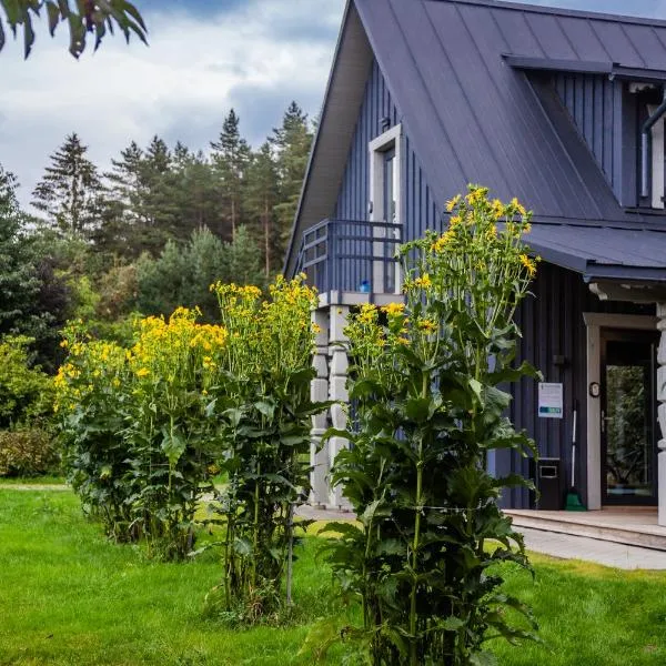 'Virš Ąžuolų'-Forest SPA -Holiday Home, hotel in Paplatelė