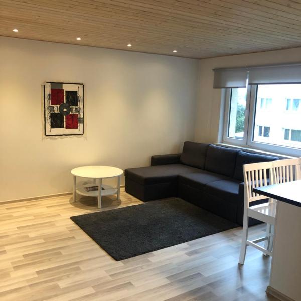 Modern cozy 2 bedroom apartment near City center