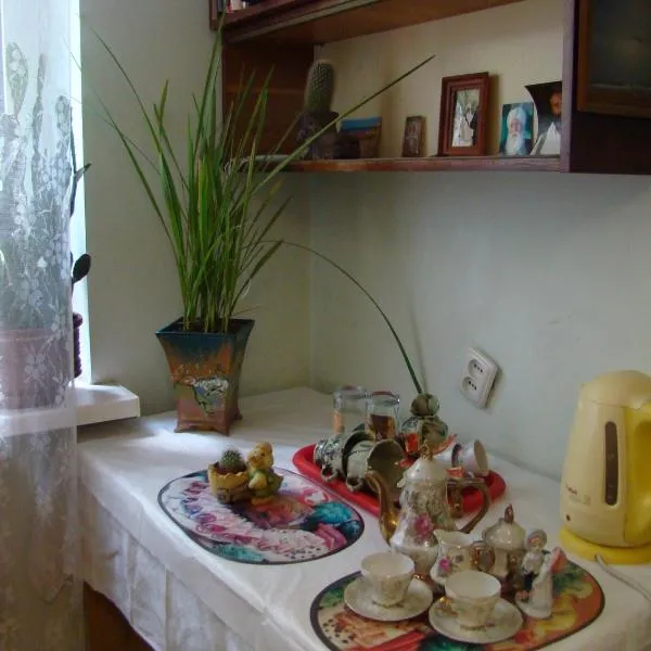 Очень уютная, тихая, єко комната с видом на сад、ヴィーンヌィツャのホテル