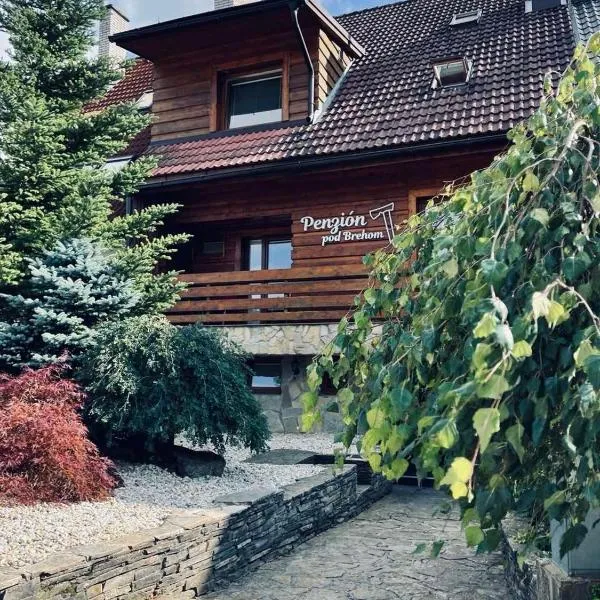 Penzion pod Brehom, hotel v destinaci Terchová
