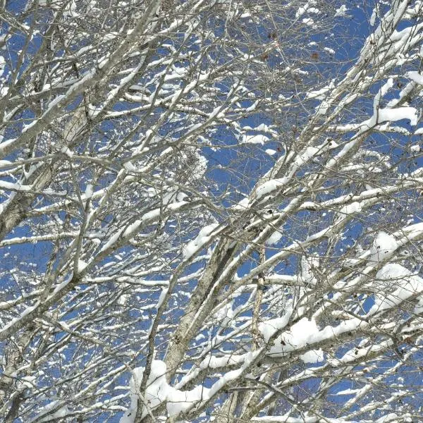 Chalet Zuckerpuppa, hotel v destinaci Blitzingen