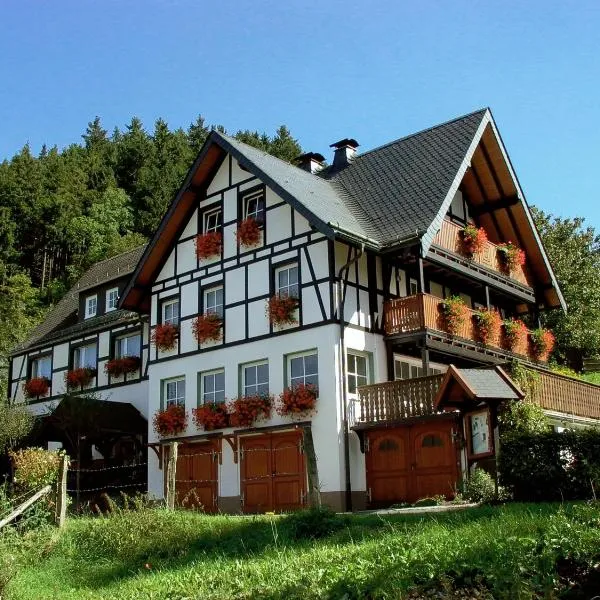 Lauras - Landhauspension, hotel in Medebach