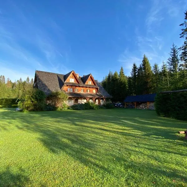 Willa Arnika, ξενοδοχείο σε Lutowiska