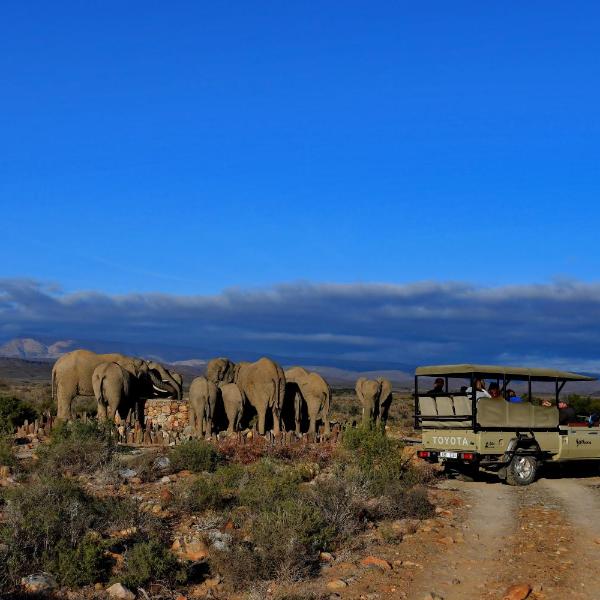 Sanbona Wildlife Reserve