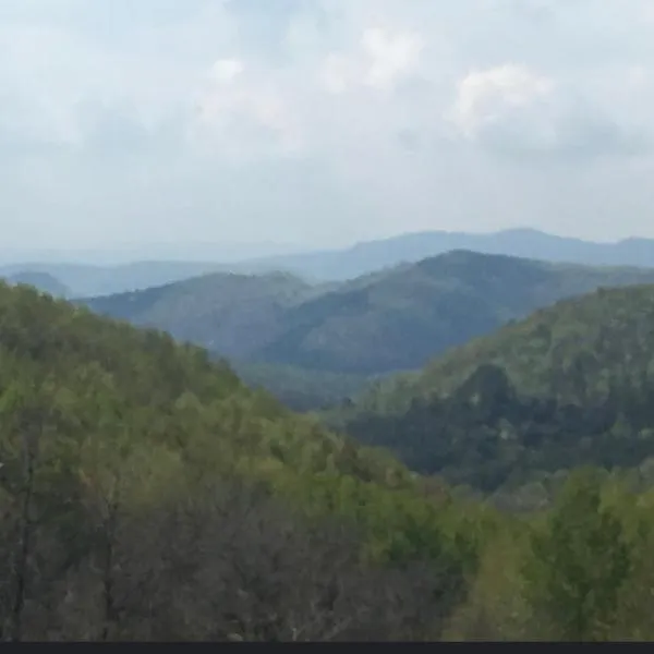 OffCamping Bobicesti - land for camping, with water source and without electricity -Doar teren pentru campare cu sursa de apa , fără electricitate ! Self check-in !、Bobiceştiのホテル