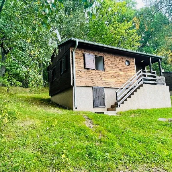 Chata Adam u Lipna, hotel in Horní Planá