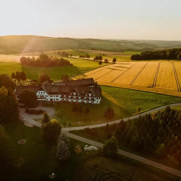 Waldhotel Kreuztanne, hotel v destinaci Sayda
